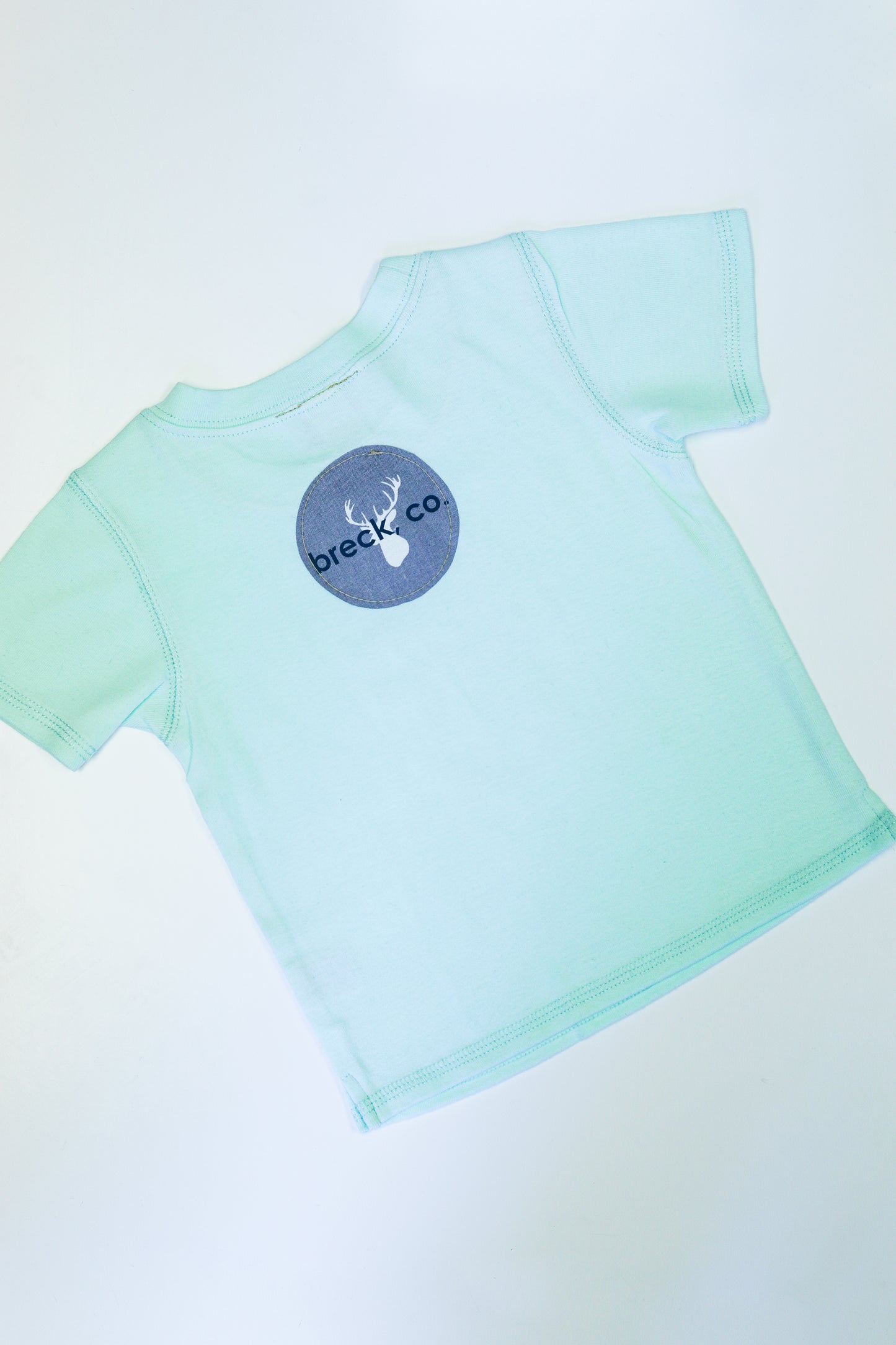 Short sleeve Take Me To The Mountains Tee